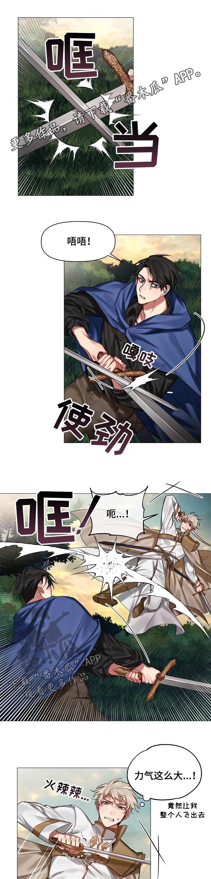 皇家骑士漫画,第41章：劝说1图