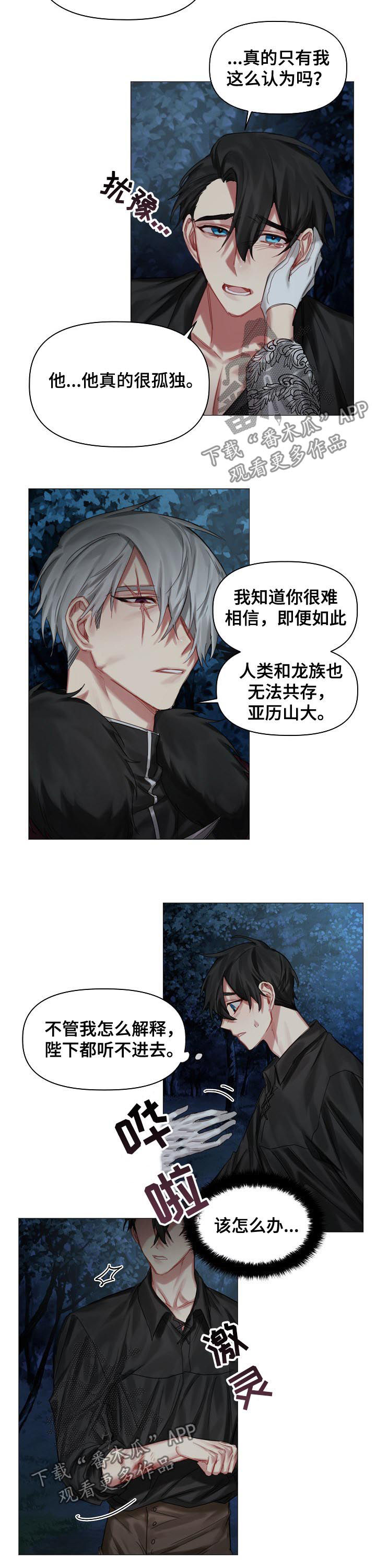 皇家骑士漫画,第33章：没有理由3图