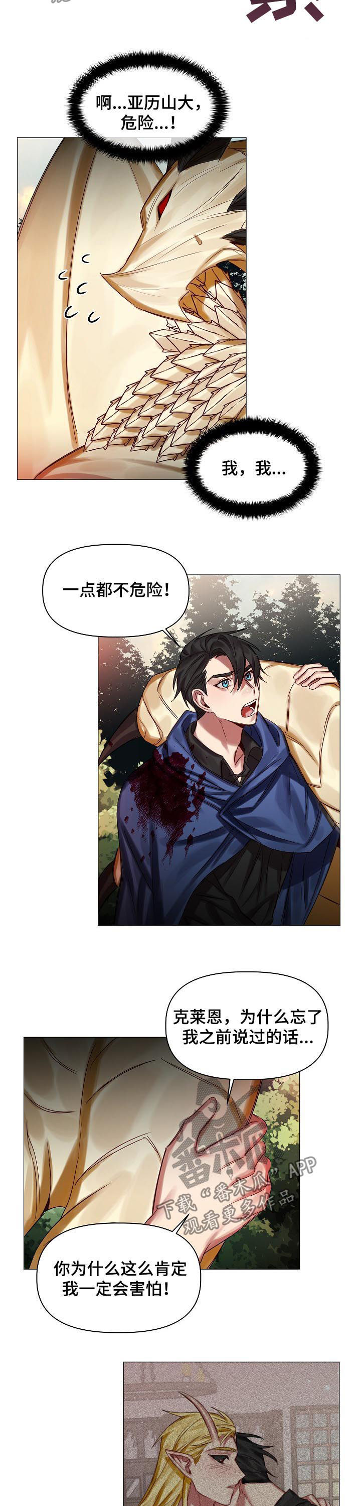 皇家骑士漫画,第45章：慢慢了解2图