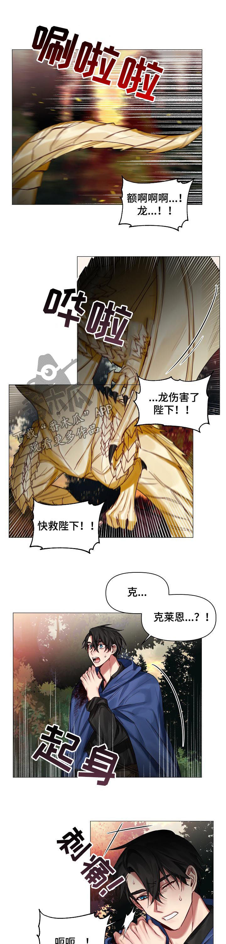 皇家骑士漫画,第43章：带我也去1图