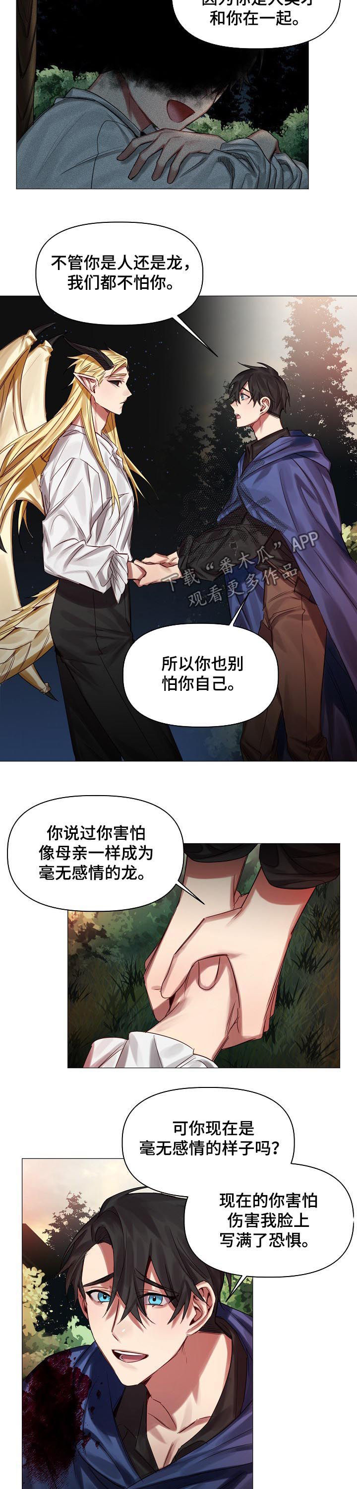 皇家骑士漫画,第45章：慢慢了解4图