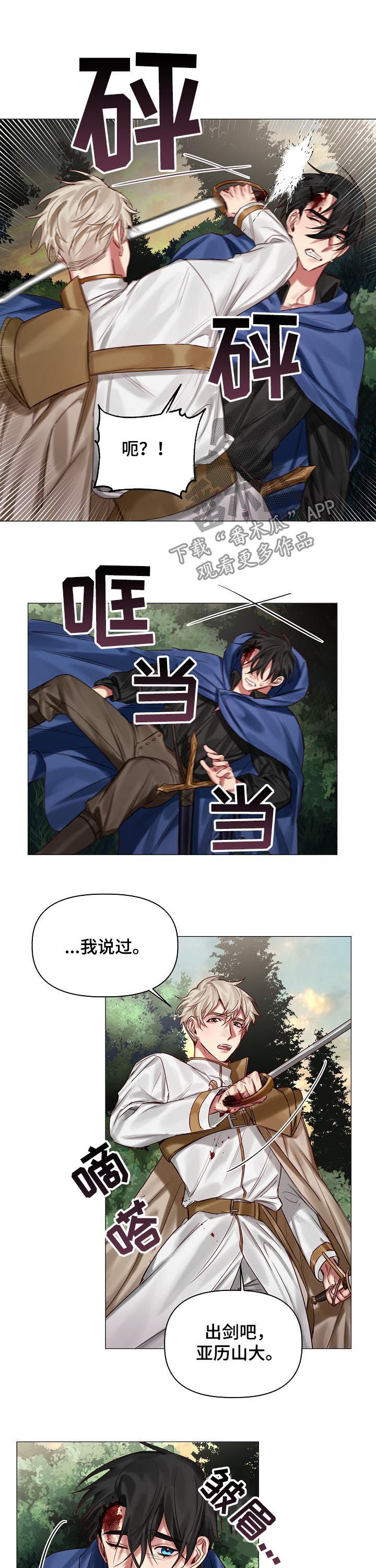 皇家骑士漫画,第39章：刀剑相向2图