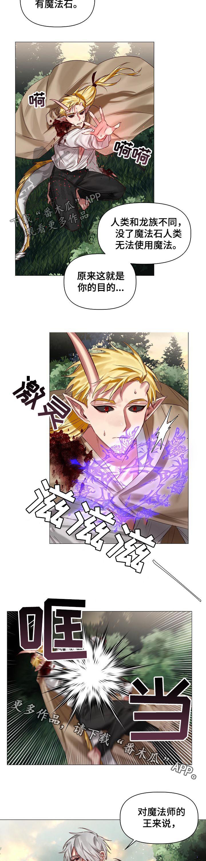 皇家骑士漫画,第40章：保守的手段3图