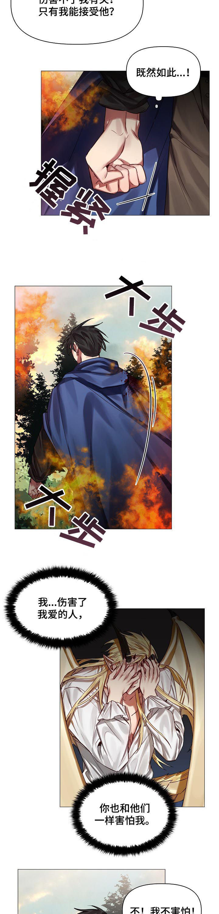 皇家骑士漫画,第45章：慢慢了解3图