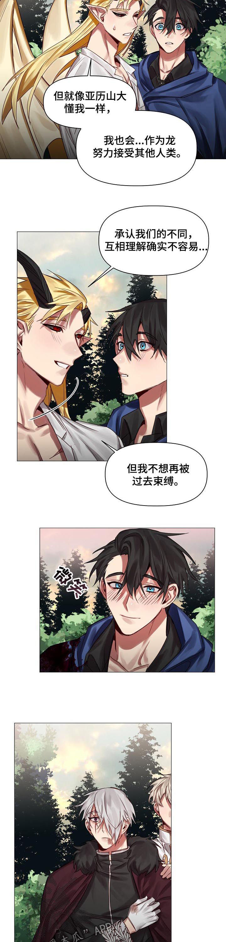 皇家骑士漫画,第46章：随便你们1图