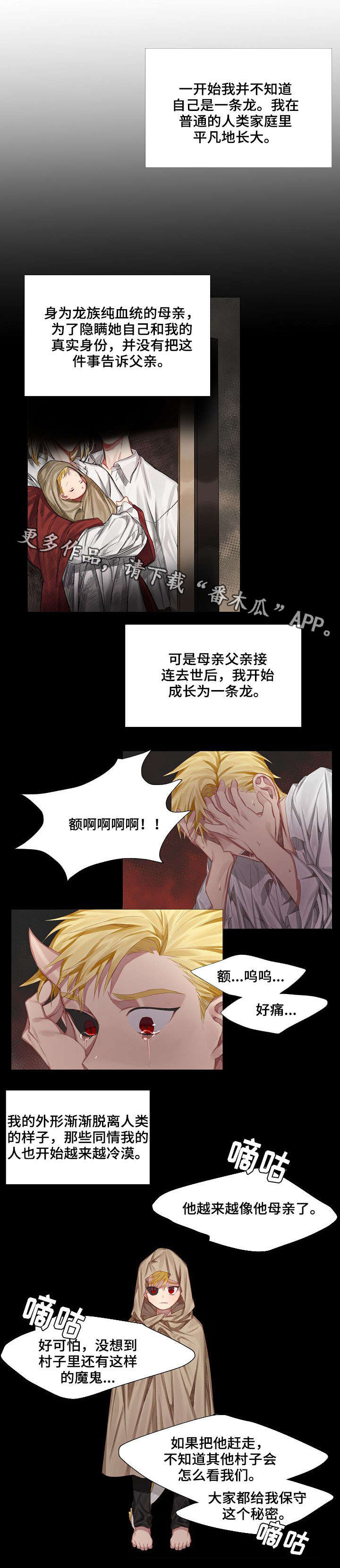 皇家骑士漫画,第3章：初见1图