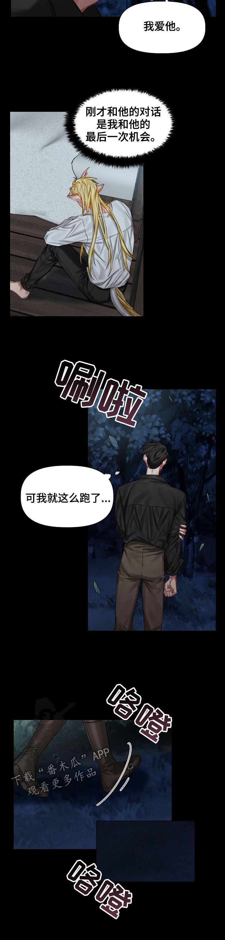 皇家骑士漫画,第31章：我爱他3图