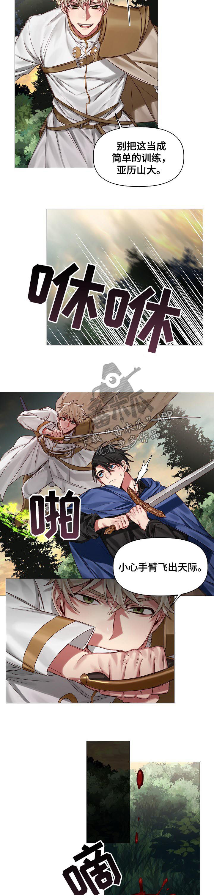 皇家骑士漫画,第40章：保守的手段3图