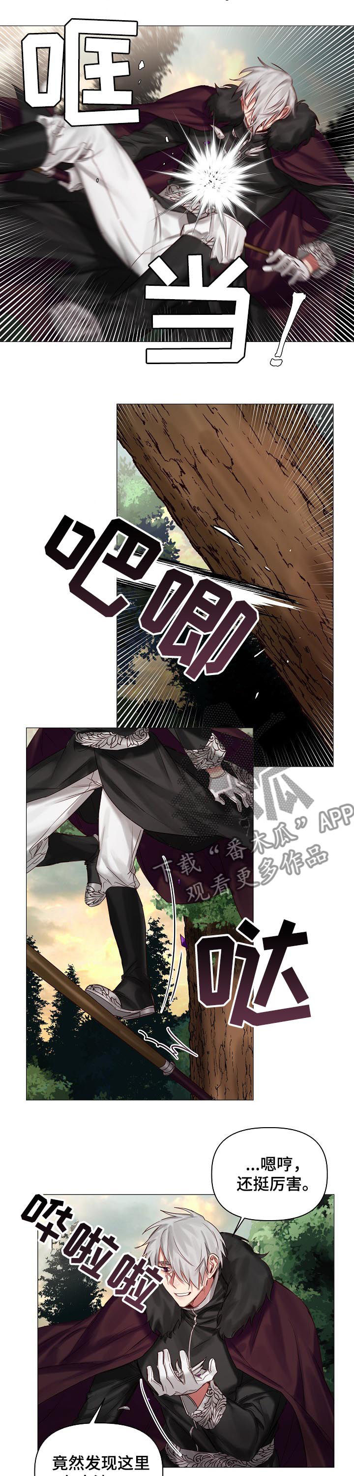 皇家骑士漫画,第40章：保守的手段2图