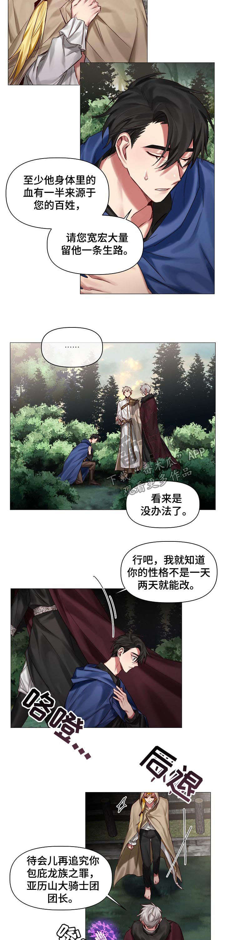 皇家骑士漫画,第38章：等很久了1图