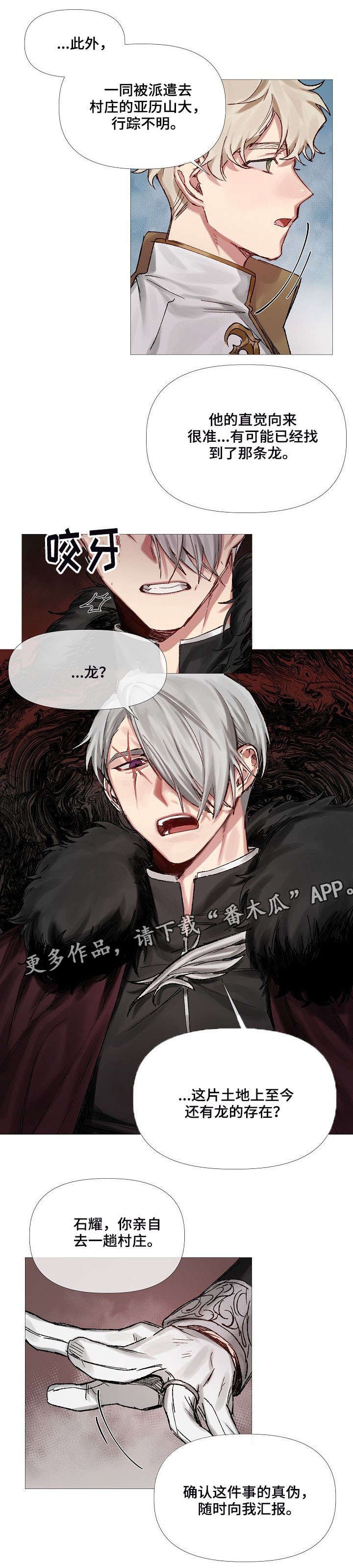 皇家骑士漫画,第8章：找寻记忆4图