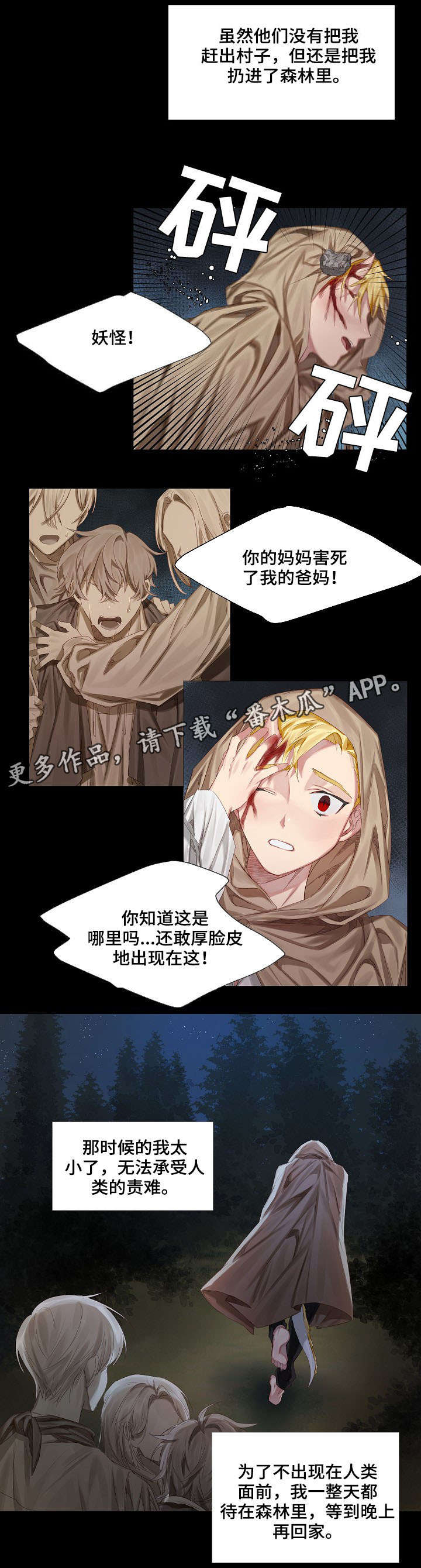 皇家骑士漫画,第3章：初见2图