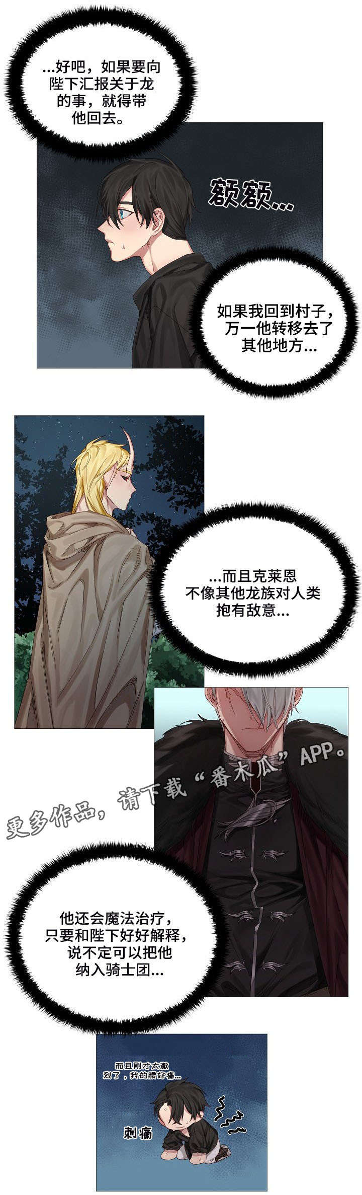 皇家骑士漫画,第4章：没有3图