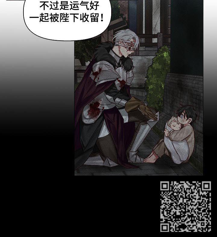 皇家骑士漫画,第39章：刀剑相向4图