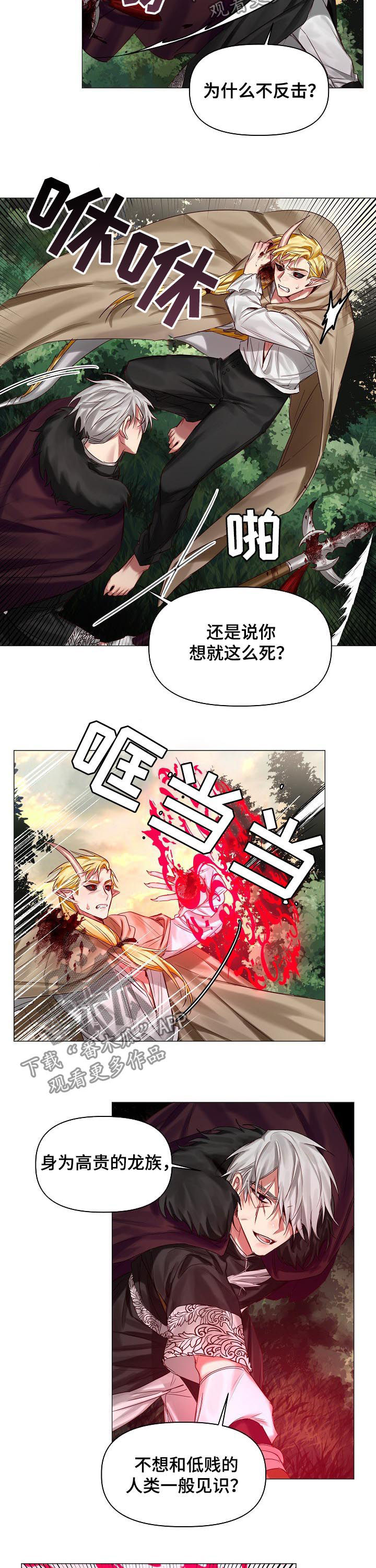 皇家骑士漫画,第40章：保守的手段5图