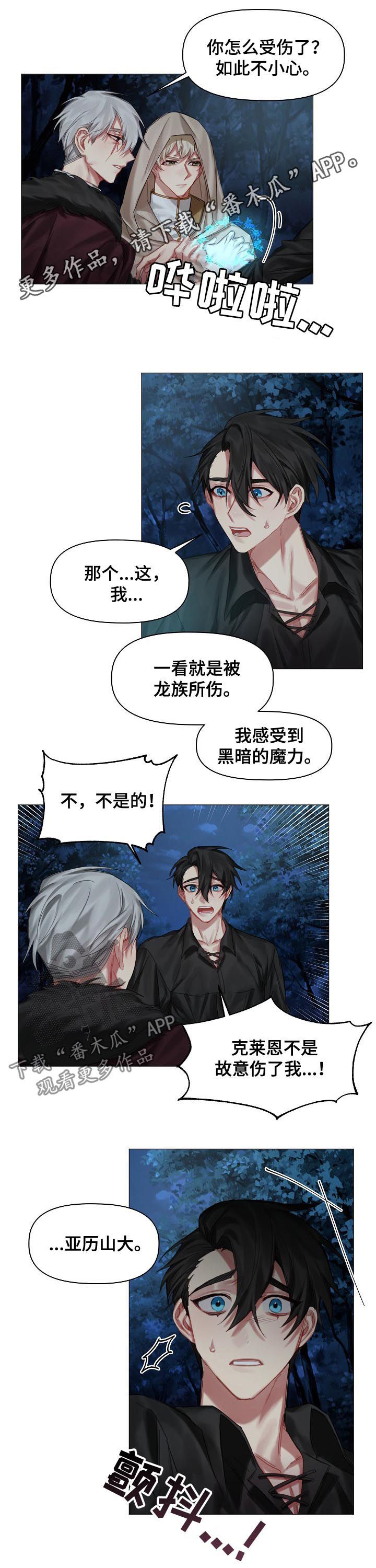 皇家骑士漫画,第33章：没有理由1图