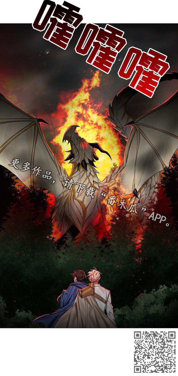 皇家骑士漫画,第42章：化龙4图