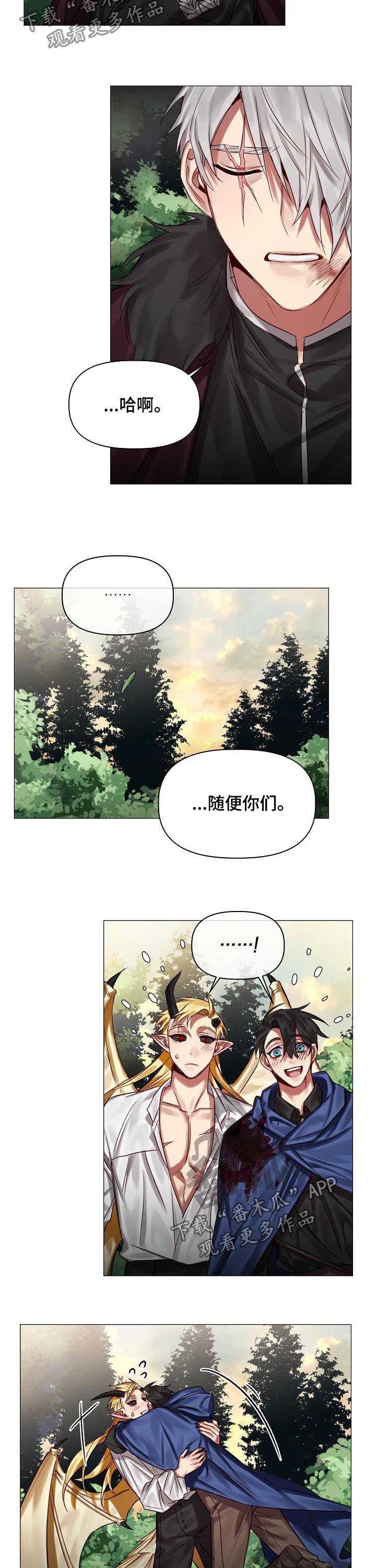 皇家骑士漫画,第46章：随便你们2图