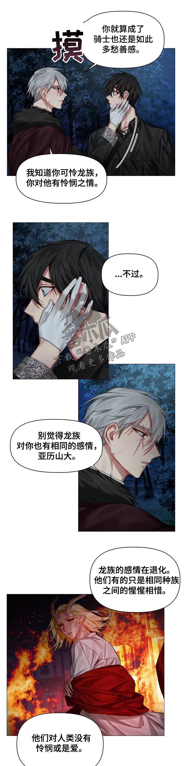 皇家骑士漫画,第33章：没有理由2图