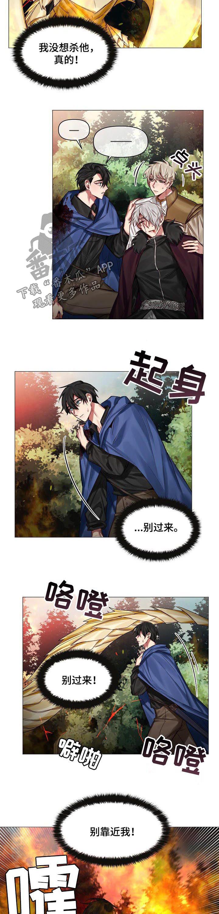 皇家骑士漫画,第44章：别靠近我3图