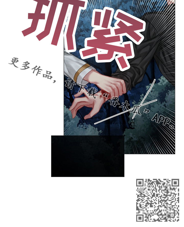 皇家骑士漫画,第30章：我不是他4图
