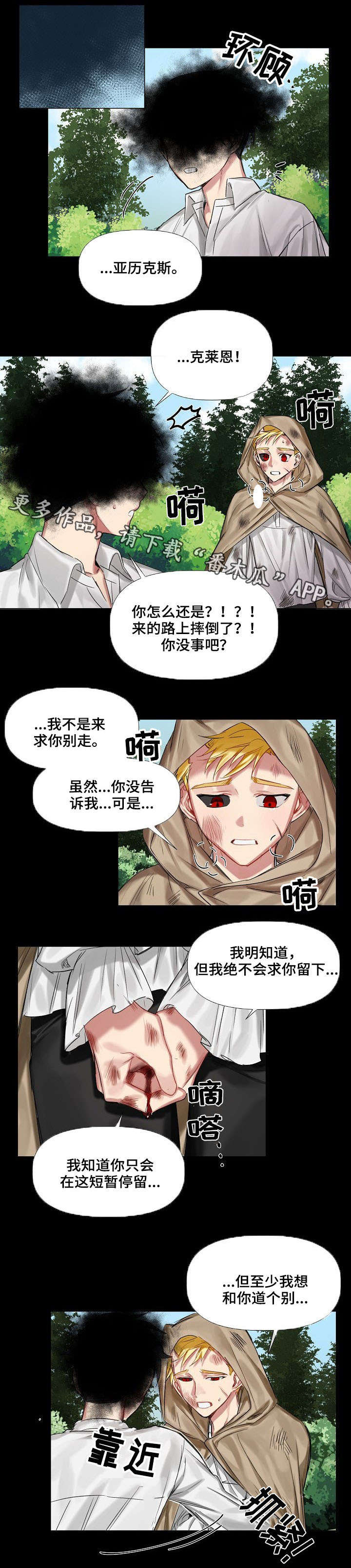 皇家骑士漫画,第11章：小时候（二）3图