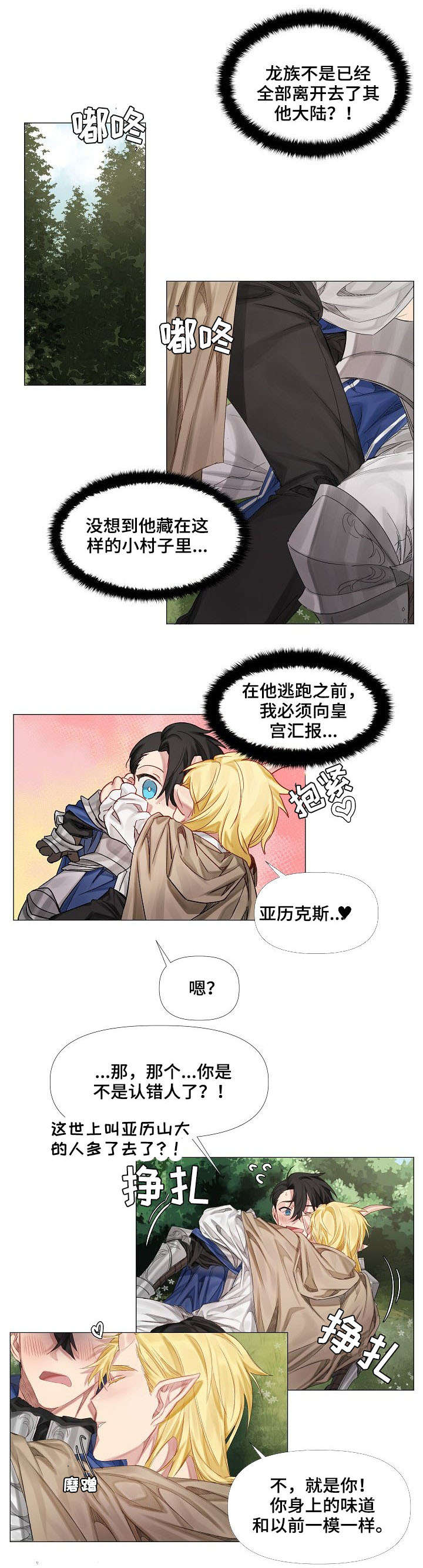 皇家骑士漫画,第2章：龙族5图