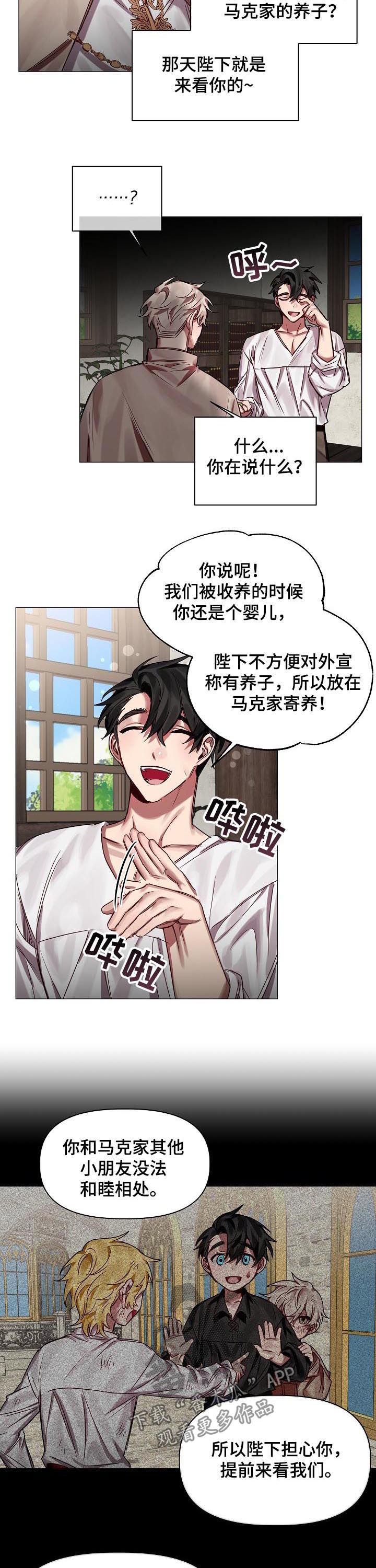 皇家骑士漫画,第48章：番外：同样在意2图