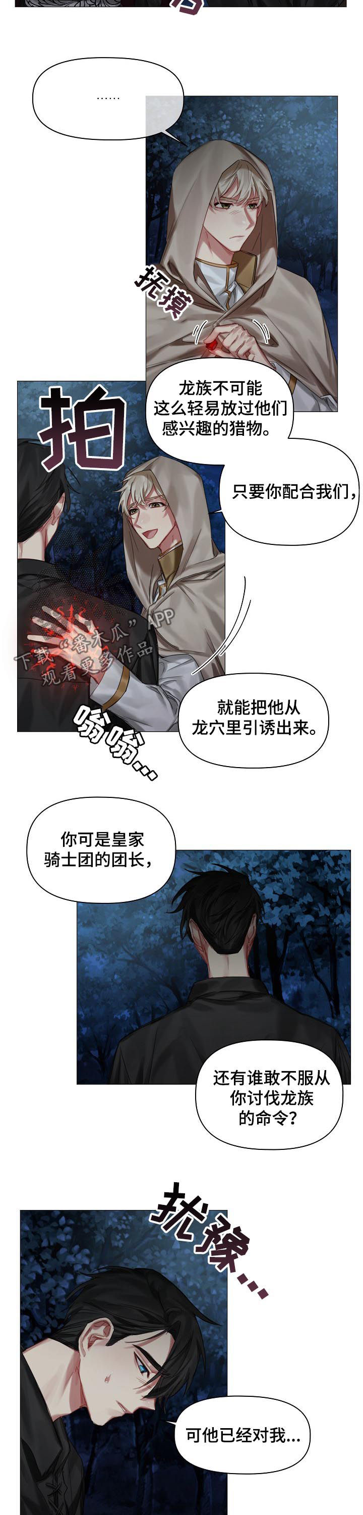 皇家骑士漫画,第34章：引诱1图