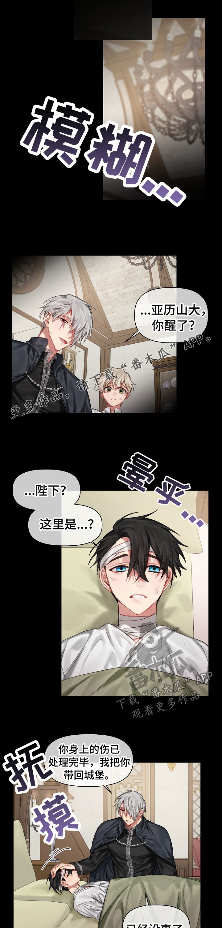皇家骑士漫画,第30章：我不是他1图