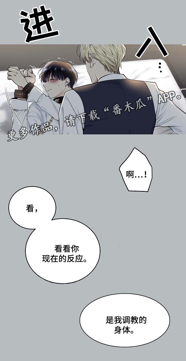 指令漫画,第58章：幻想1图