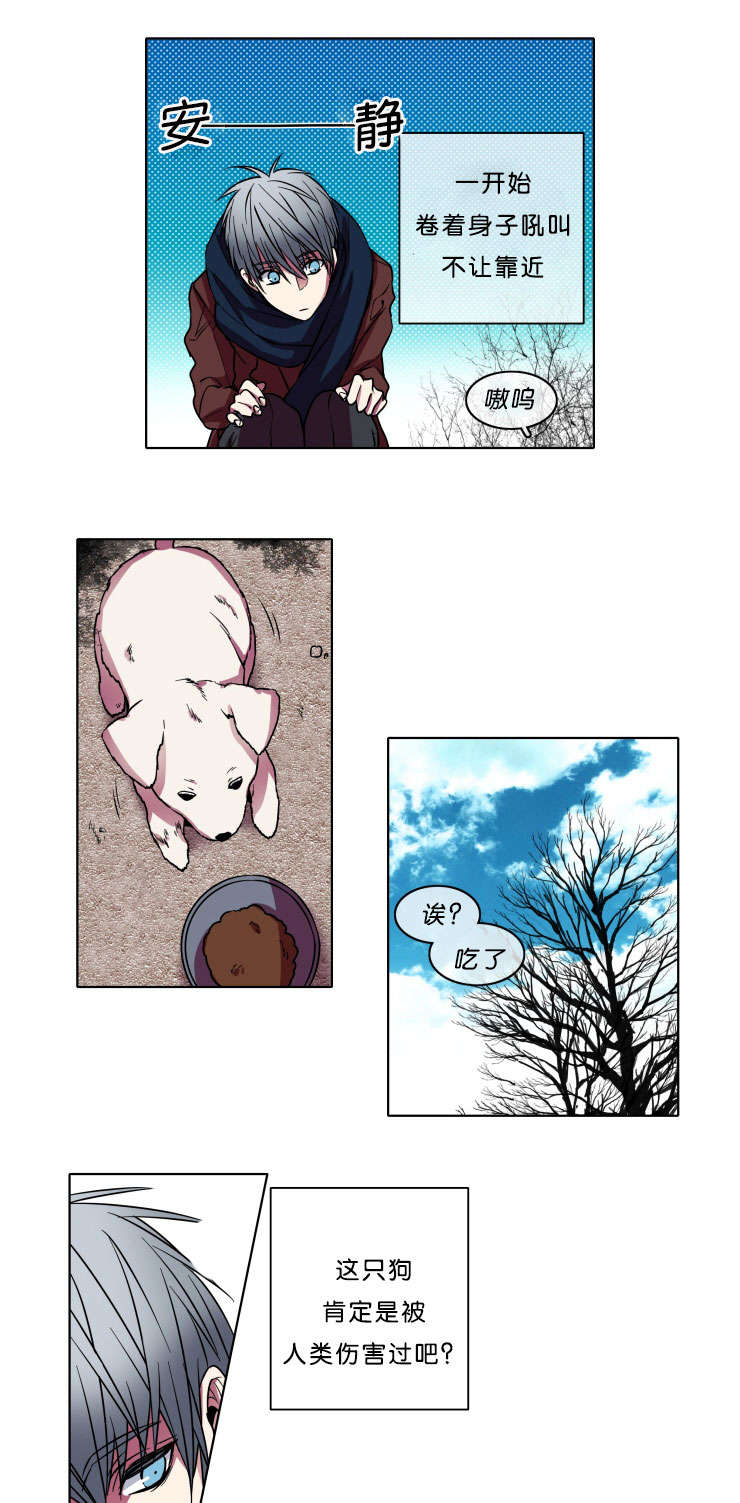 发光的诱饵漫画,第7章：本意1图