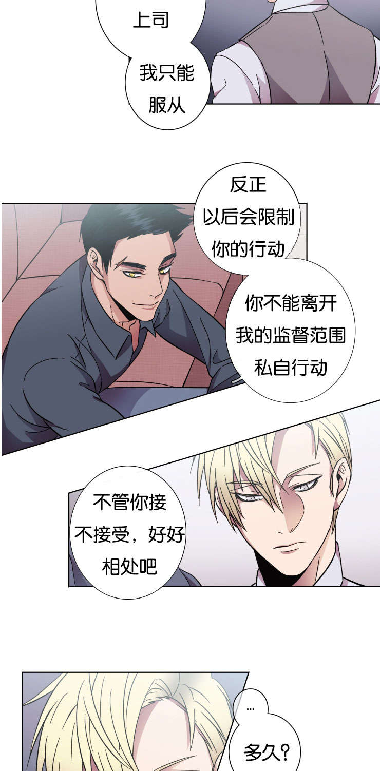 发光的宝石漫画,第33章：交涉3图