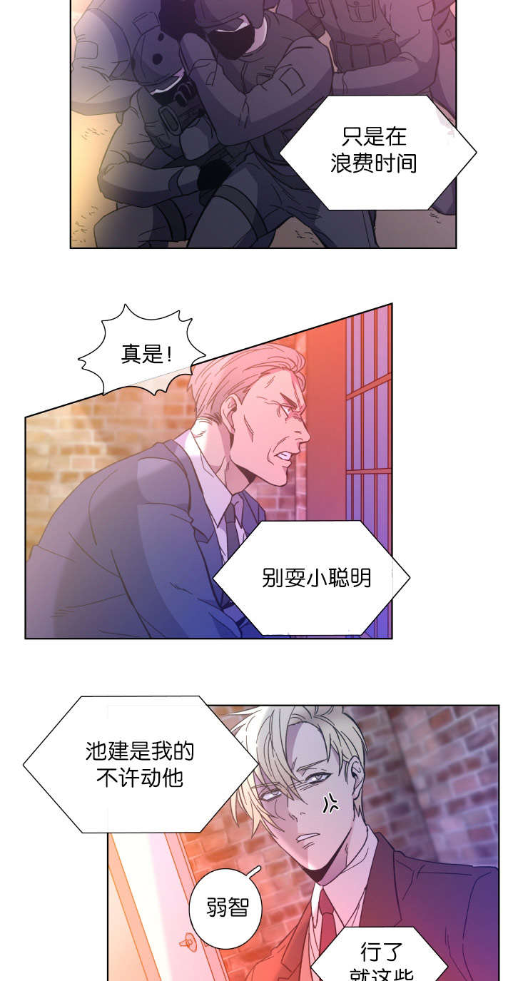 发光的诱饵漫画,第61章：罪魁祸首3图