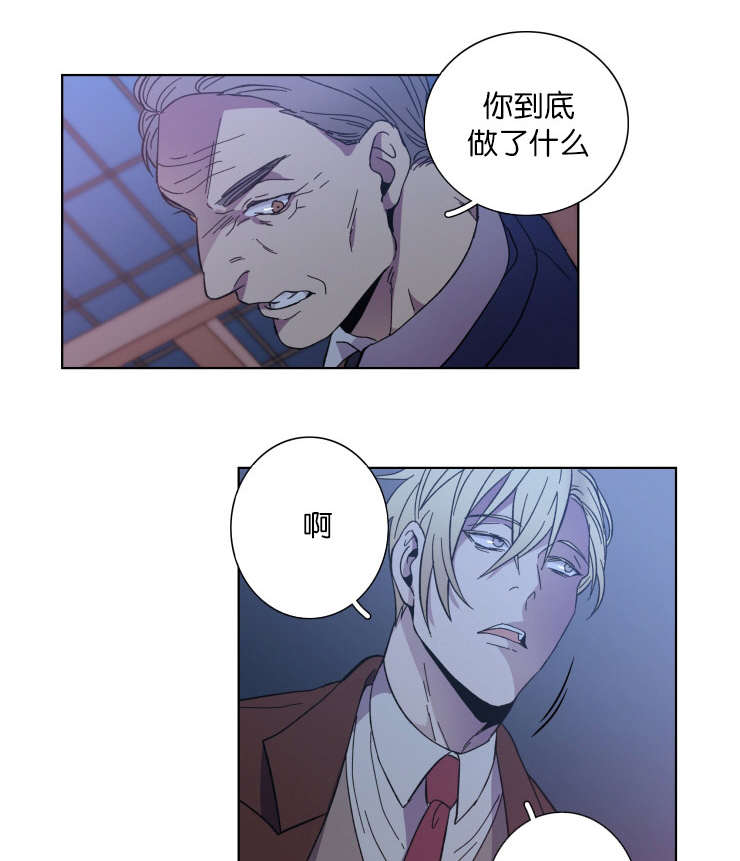 发光的诱饵漫画,第62章：对比1图