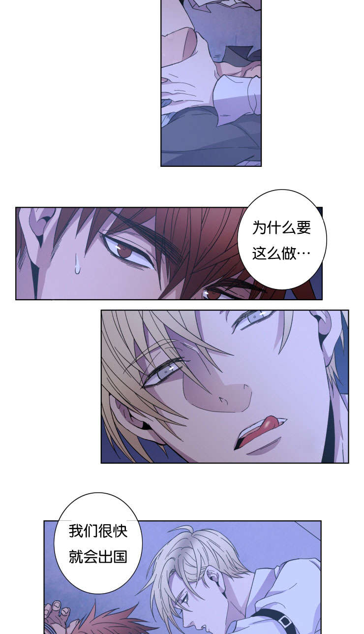 发光的宝石漫画,第24章：我的心意5图