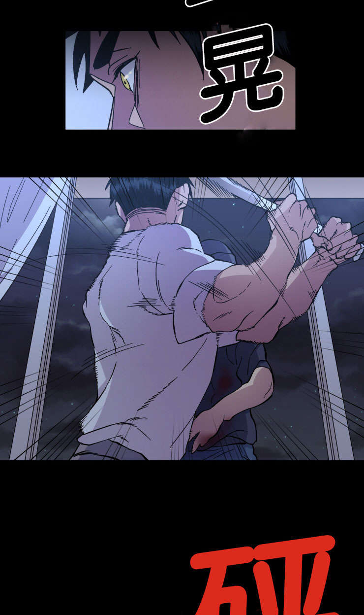 发光的宝石漫画,第44章：丢掉的牌4图