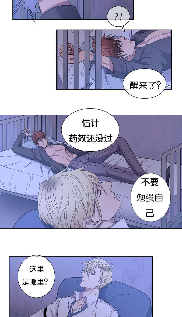 发光的宝石漫画,第24章：我的心意2图