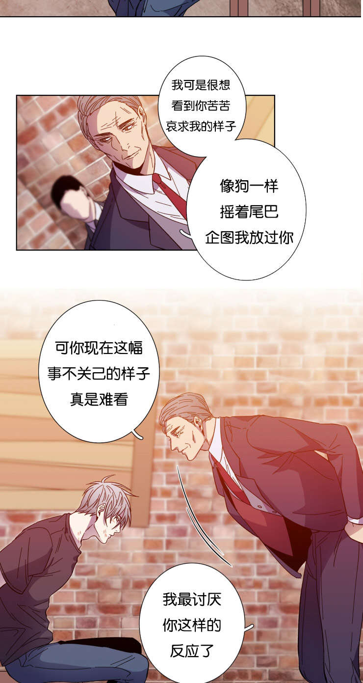 发光的宝石漫画,第56章：急迫1图