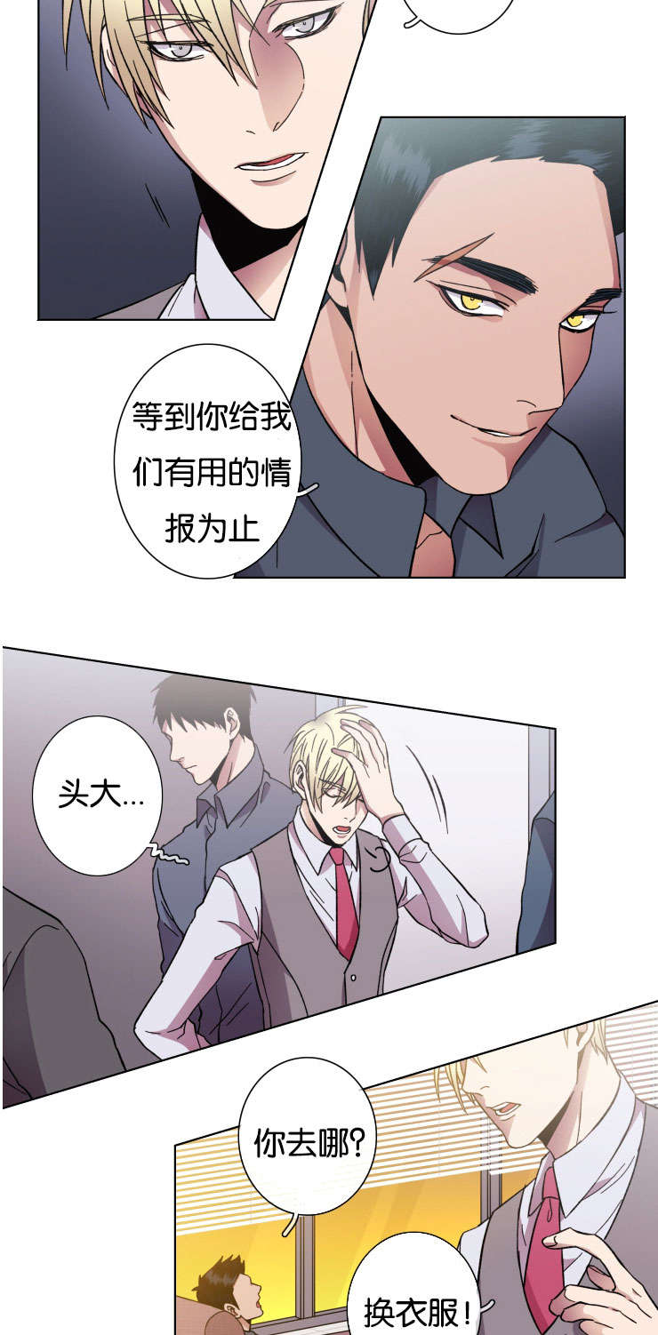 发光的宝石漫画,第33章：交涉4图