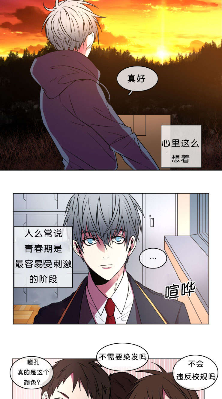 发光的宝石漫画,第7章：本意3图