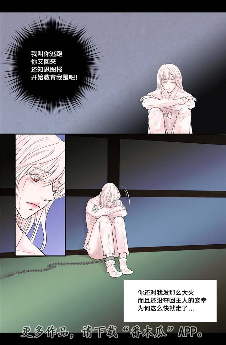 飞天之血漫画,第38章：天真的人4图