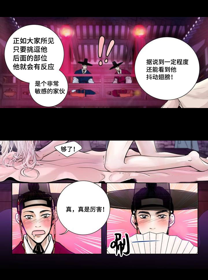 飞天之血漫画,第2章：竞拍成功5图