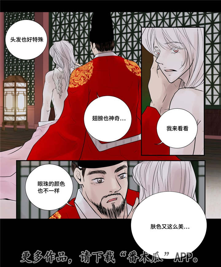 飞天之舞漫画,第51章：他的眼光2图