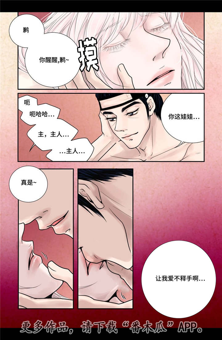 飞天之血漫画,第14章：美丽动人5图