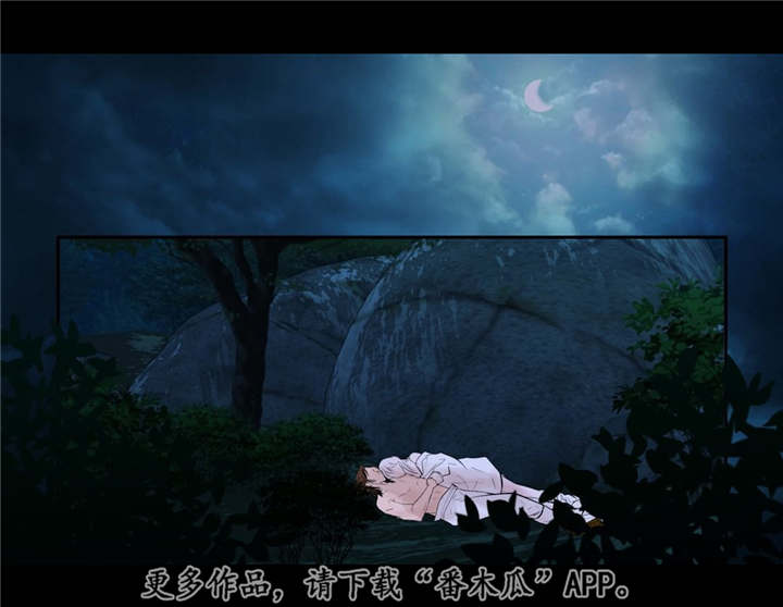 飞天之血漫画,第47章：我的愿望2图