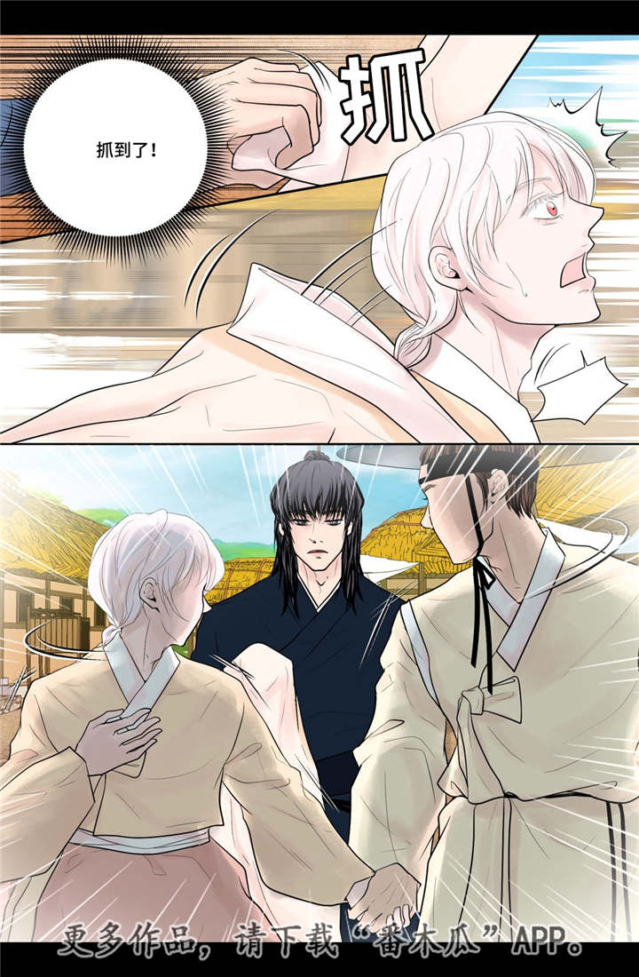 飞天之血漫画,第35章：带来爱情4图