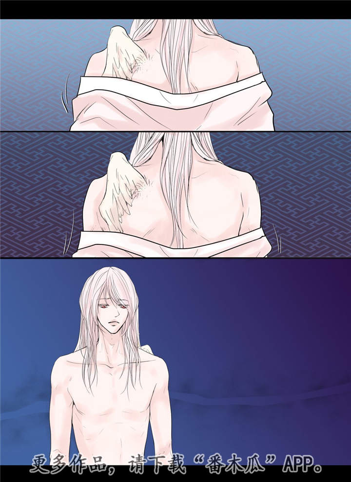 飞天之吻旅游景点在哪个城市漫画,第25章：喜欢的人5图