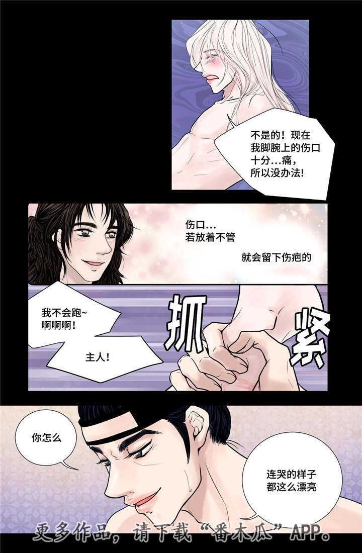 飞天之梦豆瓣漫画,第18章：牢牢抓住4图