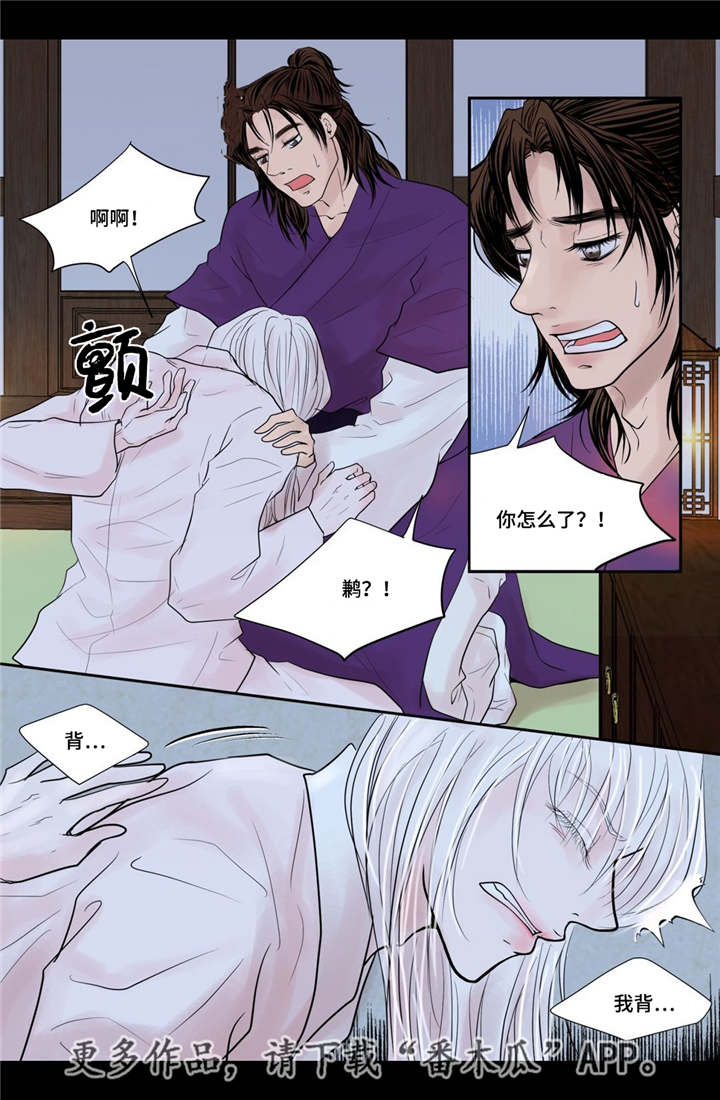 飞天之舞漫画,第35章：带来爱情5图